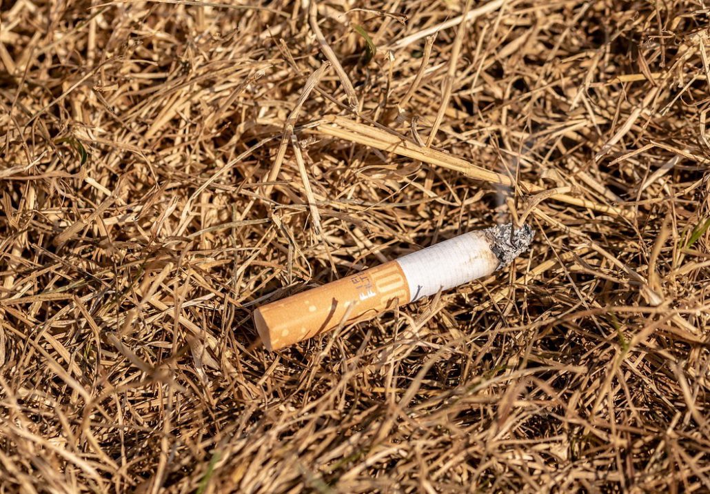 Eine achtlos aus dem Autofenster geworfene Kippe kann verheerende Folgen haben...Eine achtlos aus dem Autofenster geworfene Kippe kann verheerende Folgen haben...