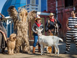 Filmpark Babelsberg: Neue Westernshow / Foto ©Budweth