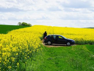 Allergien können Autofahrer so stark beeinflussen wie Alkohol. Bildnachweis: CC0 via pixabay.com