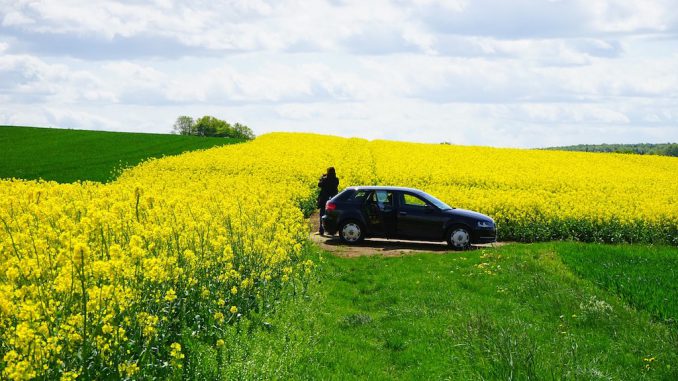 Allergien können Autofahrer so stark beeinflussen wie Alkohol. Bildnachweis: CC0 via pixabay.com