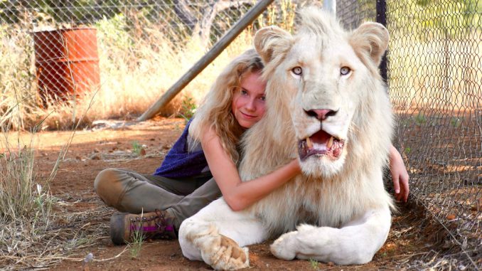 MIA UND DER WEISSE L÷WE Mia (Daniah de Villiers) und ihr bester Freund der weifle Lˆwe Charlie / Bildrechte: ©Studiokanal