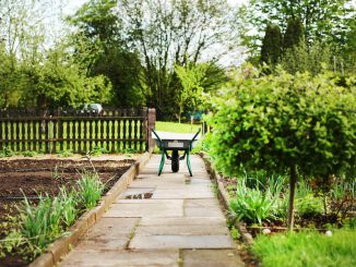 Tag des Kleingartens 2019 / Bildnachweis: CC0 via pixabay.com