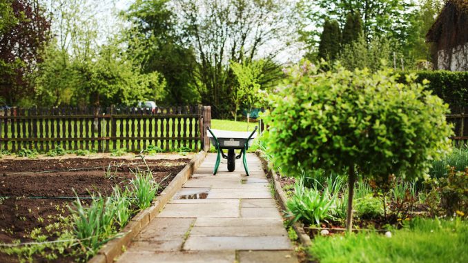 Tag des Kleingartens 2019 / Bildnachweis: CC0 via pixabay.com