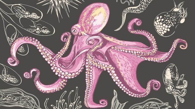 BI_MOTE_978-3-86971-201-7_007c