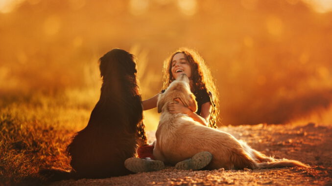 pexels-helena-lopes-4408935