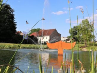 Landesgartenschau Beelitz Walflosse im Mühlenteich. ©Landesgartenschau Beeltz