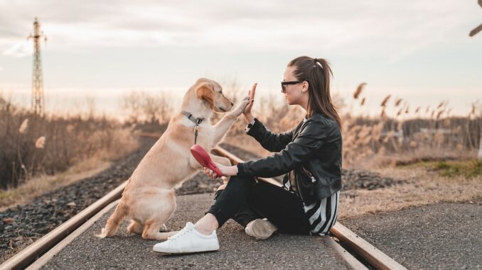 richard-brutyo-xvYxGcwFvuE-unsplash