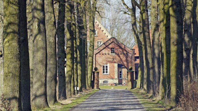 oak-avenue-2970263_1280