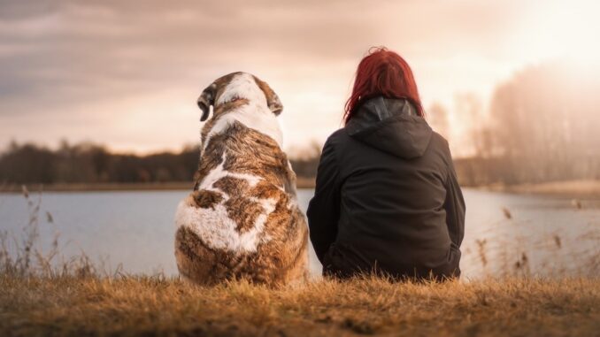 friends-3042751_1280