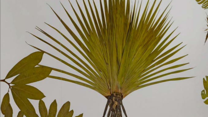 Vernissage Julius von Bismark Kultur am See