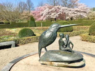 Britzer Garten 2019 Oliver Numrich