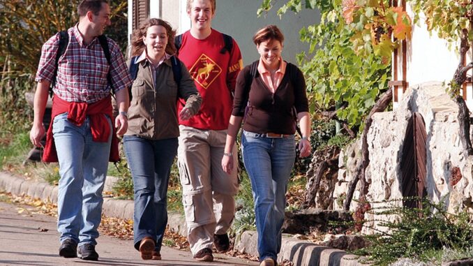 Roettingen: Wandern auf dem Weinwanderweg / ©Peter Frischmuth