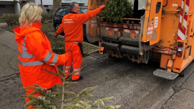 BSR-Beschäftigte bei der Abholung ausrangierter Weihnachtsbäume © BSR
