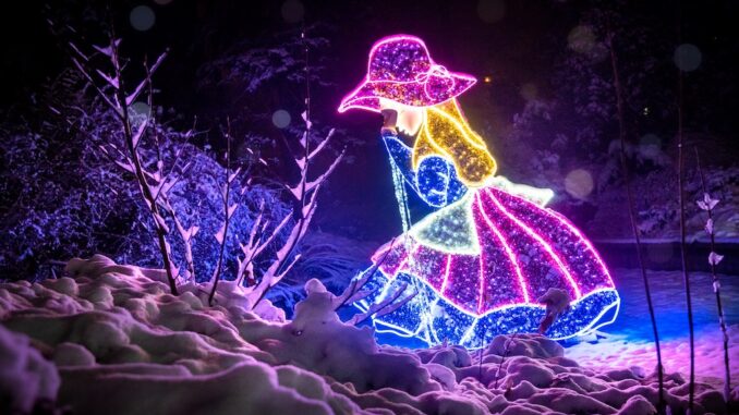 Foto illusia_2022-11-24 19-44-37 klein